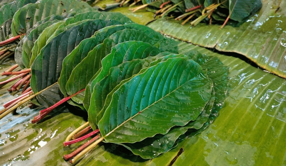 Thailand sourcing region